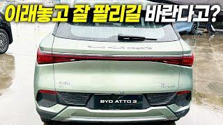 BYD 국내 출시 가격이 충격적인 이유.. 어쩌려고 이럴까?