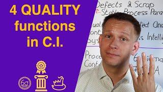 4 roles of the Quality Function in Performance Excellence and Continuous Improvement programs
