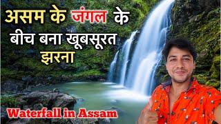 Beautiful waterfall in Assam || Assam forest tour ||