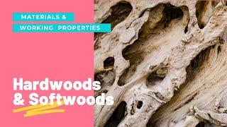Hardwoods and Softwoods GCSE DT