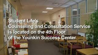 Counseling and Consultation Service Overview | The Ohio State University Office of Student Life