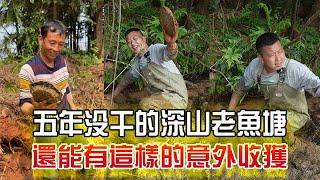 五年沒幹的深山老魚塘，還能有這樣的意外收獲！#農村生活 #戶外 #三農 #我要上熱門 #小飛哥#抓魚vlog