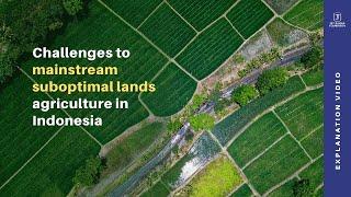 Challenges to mainstream suboptimal lands agriculture in Indonesia