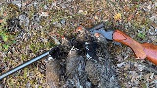 My 12ga for grouse hunting