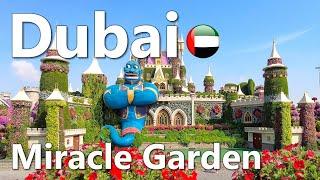 Miracle Garden Dubai Big Walking Tour 4K