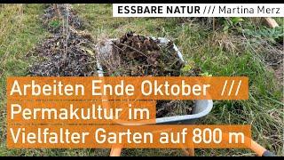 Gartenarbeiten im Oktober in unserem regenerativen Permakultur-Bio-Selbstversorger- und Naturgarten