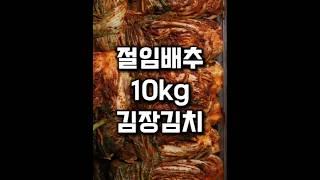 절임배추 10kg 김장김치 양념비율 #레시피