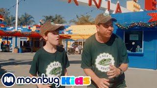 Legoland Dinosaur Toys @TRexRanch | Moonbug Kids - Explore With Me!