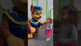 Paw patrol  #patrulhacanina #nickelodeon #chase #marshall