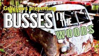 VW BUSSES IN THE WOODS | Junkyard estate since 72  | WOODS FIND | graysvws | SHORT HAULS | EP 20 |