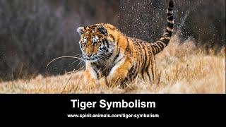 Tiger Symbolism