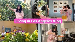 Living in Los Angeles Vlog