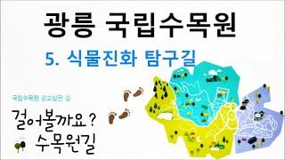 광릉국립수목원 - 식물진화 탐구길 #광릉수목원 #국립수목원 #포천여행