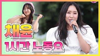 [Playlist] 순리대로 인연 따라 인생사 다 그런 거야~ 채윤 1시간 노동요