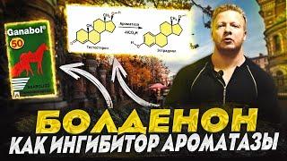 Болденон как ингибитор ароматазы(перезалив)