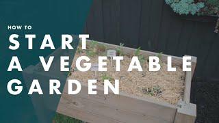 How To Start A Vegetable Garden - Bunnings Warehouse