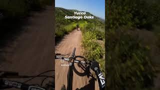 #shorts #santiagooaks #yucca #mtb #wildflowers