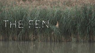 The Fen - Wild Wetlands // Lincolnshire