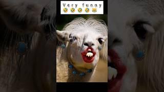 very funny Animals #viral #shorts @FunAnimalsTV-321