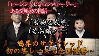 レーシングピジョンストーリー（ある愛鳩家の物語）「若駒と成鳩」（若駒編ノ一）①