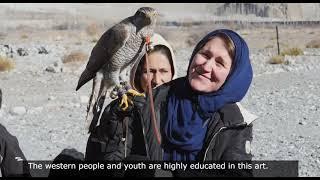 Falconry in Pakistan