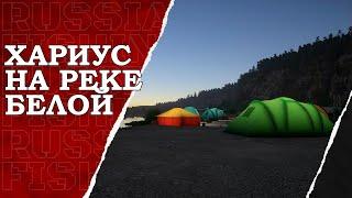 Хариус на реке Белой. Русская Рыбалка 4