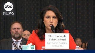 Tulsi Gabbard questioned about Yemen attack plans shared in Signal group chat