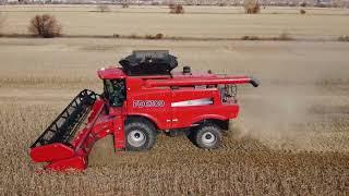 Демопоказ комбайна Agro-Lider FD6300_Омская область