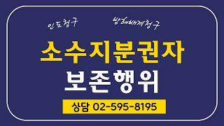 소수지분권자의 보존행위로서 인도청구와 방해배제