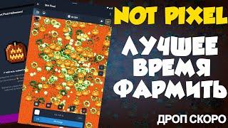 НЕ ПРОПУСТИ ХЭЛЛОУИН В NOT PIXEL