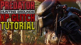 XP GLITCH TUTORIAL | Predator Hunting Grounds