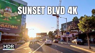 Los Angeles Sunset BLVD at Sunset 4K Drive