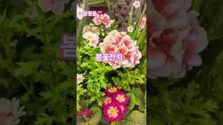 황영웅️#봄꽃잔치 #꽃의 향연 #함께해요