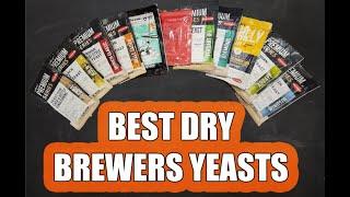 The BEST DRY BEER YEAST Strains for Homebrewers