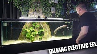 My electric eel TALKS!! How to listen to your aquarium fish!! The king of DIY