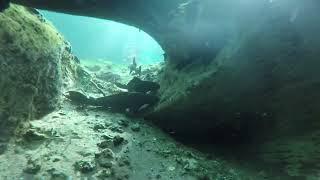 Blue Springs State Park Florida Scuba 2022