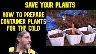 Prepping Your Container Plants For The Cold