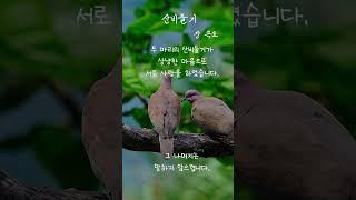 [이 주의 시 한 잔] 산비둘기 - 장 콕도 | 1분 동안 힐링하는 시 낭독