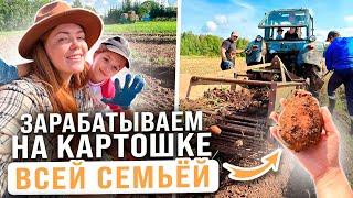 УБОРКА КАРТОФЕЛЯ 2024 | Зарабатываем всей семьём на картошке в деревне