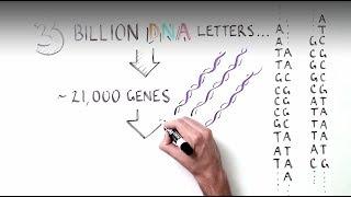 Just What is RNA Splicing?