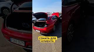 Соната #automobile #автодор #автоизкореи #avtokorea #тренд #автодилер #топ #бизнес