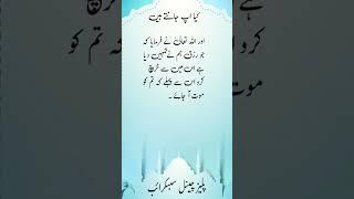 Al Quran al Karim #love #live #viralvideo #haveitoldyoulatelythatiloveyou #viralreels #hijab