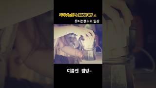 Camping 브이로그 #campinglife #피리부는언니 #캠핑그램 #캠멍 #뮤지션캠퍼 #혼캠의진수 #healing #camping
