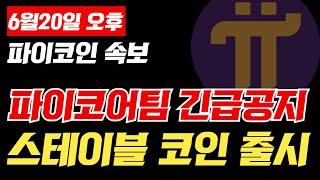 파이코인 파이코어팀 긴급 공지 발표! 스테이블 코인 출시?! #picoin #파이코인
