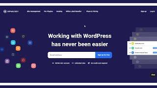 WPMU DEV, The Platform For Your WordPress Business, Tech Master