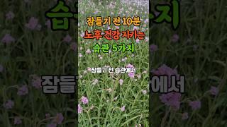 잠들기 전 10분 노후 건강 지키는 습관 5가지  #노후지혜 #시니어건강 #수면습관 #불면증해소 #노년수면 #명언 #좋은글