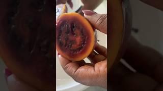 Try a tree tomato with me #treetomato #tamarillo #tomatillo #afrolems