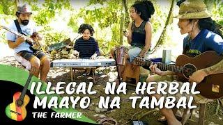 The Farmer - Illegal Na Herbal Maayo Na Tambal (Live Session)