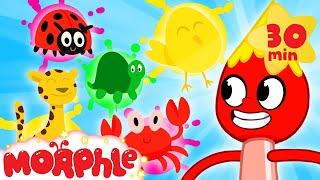 My Magic Colors with Morphle - Painting & Drawing | Kids Videos