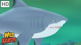 Wild Kratts | Sharks | Apex Predators of the Oceans